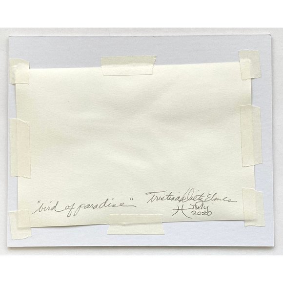 Bird of Paradise - Original Wall Art Handmade Watercolor Florida Flowers 8"x10" - Picture 6 of 6